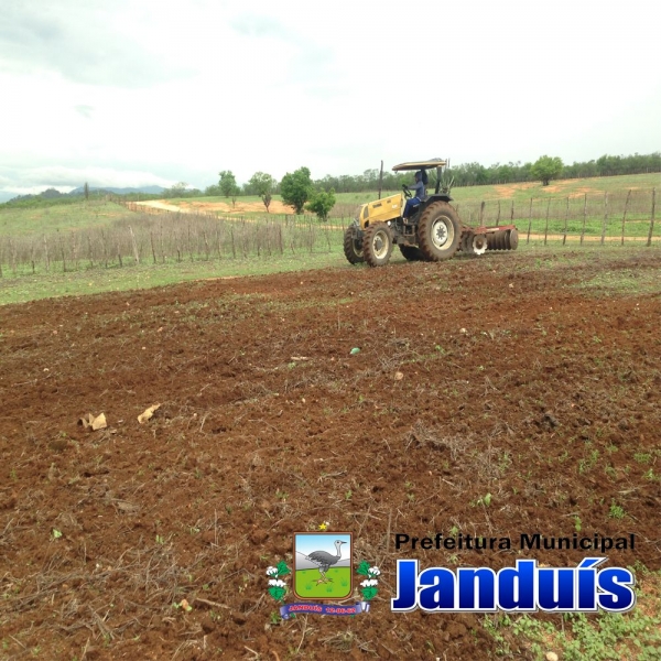 CORTE DE TERRA BENEFICIA CENTENAS DE AGRICULTORES DE JANDUÍS